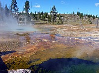 Yellowstone Old faithfull et ses environs (154).JPG